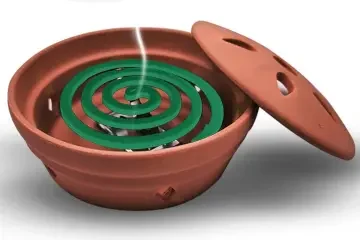 Espirales