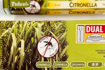 Incienso antimosquitos repelentes natural - esthelar select